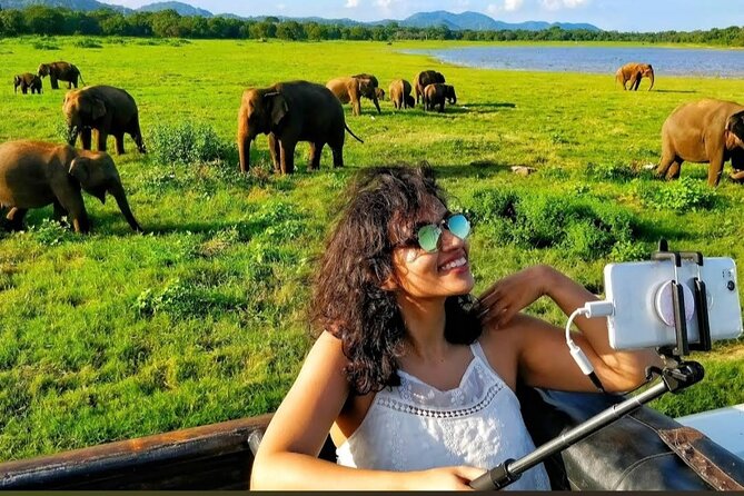 Kaudulla Safari Adventure - What the Scenery Adds to the Safari