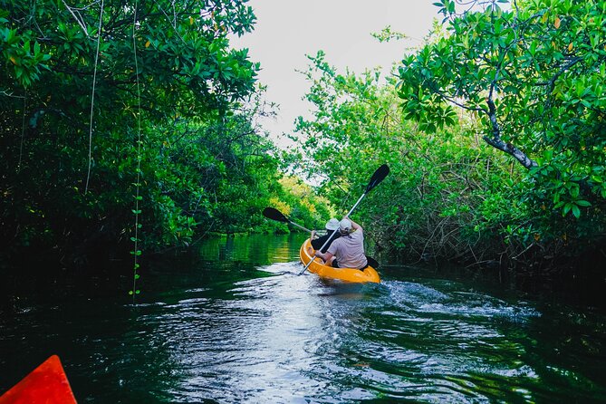 Kayaking Adventure on serene waters through mangroves, Akurala - Key Points Before You Paddle