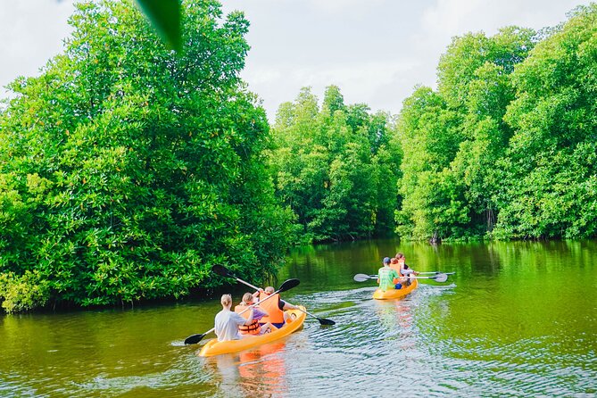 Kayaking Adventure on serene waters through mangroves, Akurala - Wildlife Watching Without Leaving The Kayak