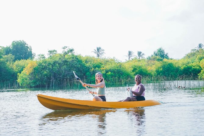 Kayaking Adventure on serene waters through mangroves, Akurala - How The Two-Hour Format Works For Your Day