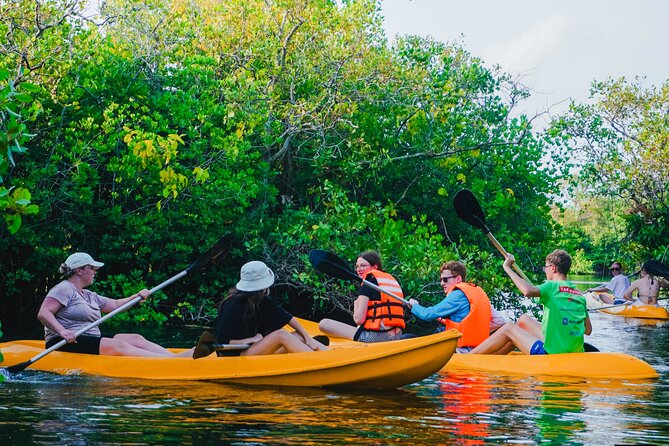 Kayaking Adventure on serene waters through mangroves, Akurala - Is $15 A Fair Price For A Private Paddle?
