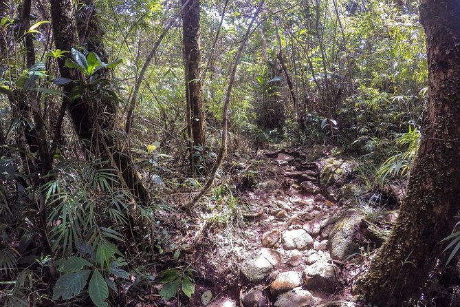 Knuckles Leopard trail Trek from Kandy - Rocky plateaus and high views