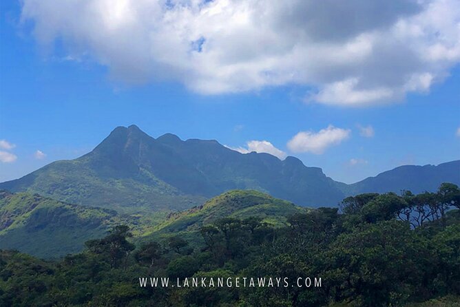 Knuckles Mountain Hiking - What makes this Knuckles hike special