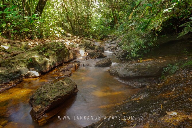 Knuckles Mountain Hiking - Waterfalls and the river route