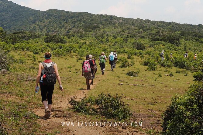 Knuckles Mountain Hiking - The guide can shape the whole day