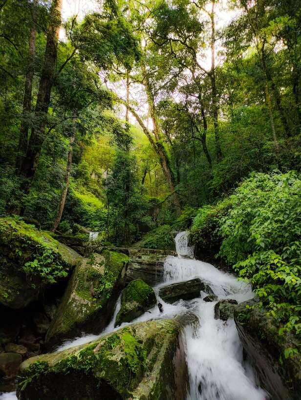 Knuckles Mountain Range: Hidden Waterfall Chain Hike - How difficult is this Knuckles trek?