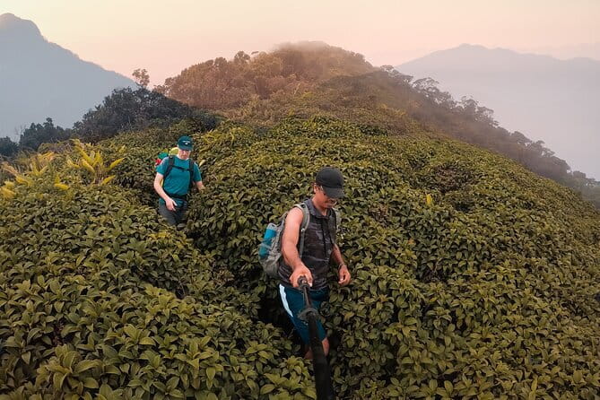 Knuckles Mountain Range Hiking and Trekking Day Tour From Kandy Hotels - Key points at a glance