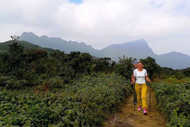 Knuckles Mountain Range Hiking and Trekking Day Tour From Kandy Hotels - Starting the trail around 6:45 a.m.