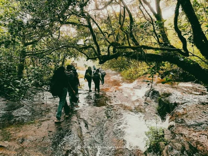 Knuckles Mountain Range: Kotaganga Waterfall Chain Hike - Key points to know before you book