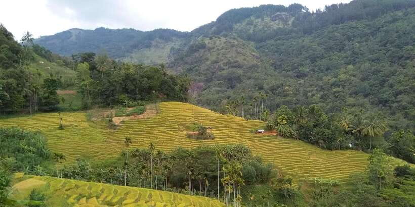 Knuckles Spice Trail Trek from Kandy - Weather, clouds, and the practical trade-offs