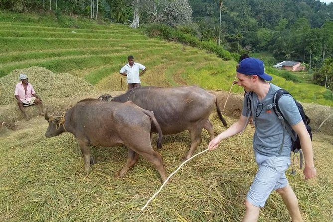 Knuckles Spice Trail Trek from Kandy - Why this route gives you more than a mountain walk