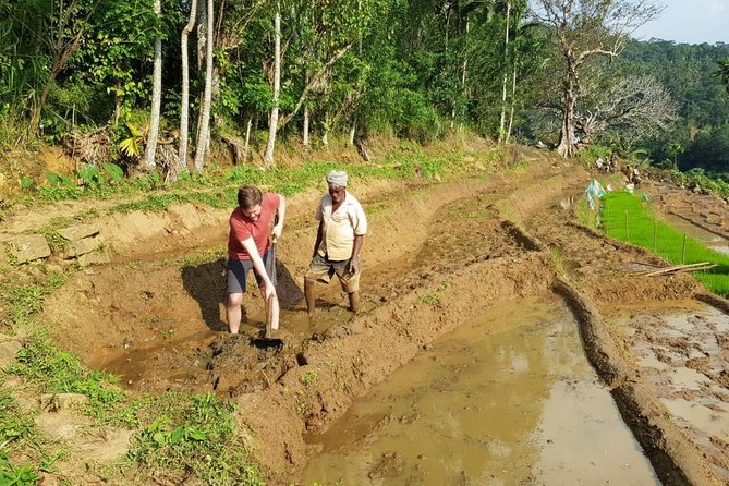 Knuckles Spice Trail Trek from Kandy - A waterfall and natural pool halfway through