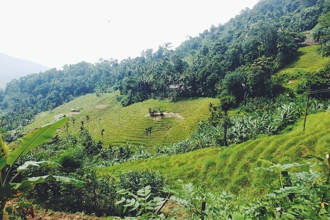 Knuckles Spice Trail Trek from Kandy - Meeting village life at lunchtime