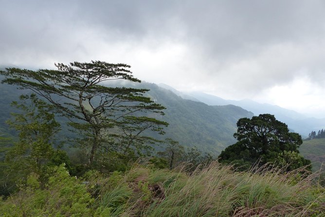 Knuckles Spice Trail Trek from Kandy - How difficult is the 10 to 15 kilometer route?