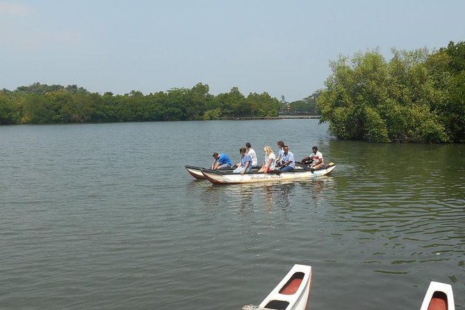 Koggala Lake Tour - Birdlife rewards a slower pace