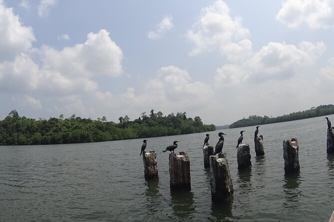 Koggala Lake Tour - A Buddhist temple brings a cultural stop