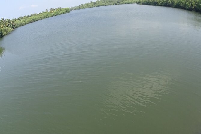 Koggala Lake Tour - What $98 per person really covers