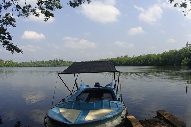 Koggala Lake Tour - Who will enjoy this private lake tour?