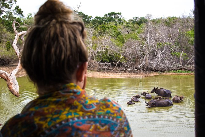 Kumana National Park Half Day Jeep Safari - What the four-hour park visit feels like