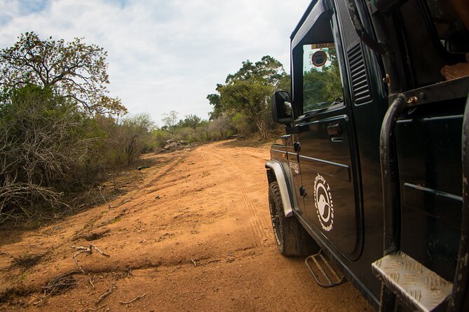 Kumana National Park Half Day Jeep Safari - Choosing between the morning and afternoon safari