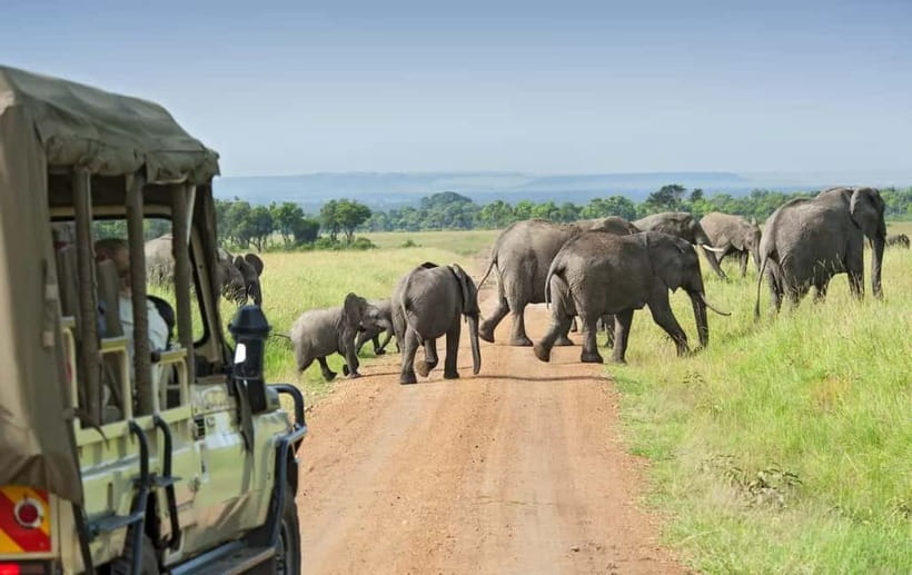 Kumana National Park Leopard Safari PRIVATE Tour - Key points to know before booking