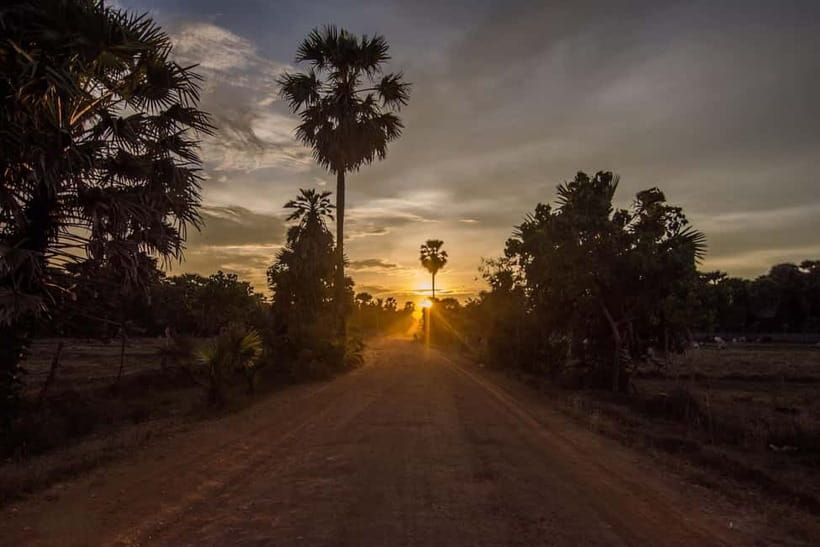 Kumana National Park Leopard Safari PRIVATE Tour - Kumana Villu and the park’s birdlife