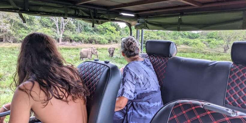 Kumana National Park : Morning or Afternoon Safari (6 h) - Kumbukkan Oya: A Scenic Pause Along the Route