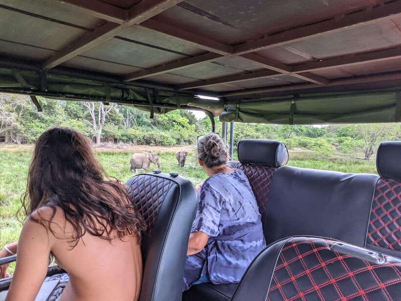 Kumana National Park : Morning or Afternoon Safari Tour - Booking Flexibility and What to Pack