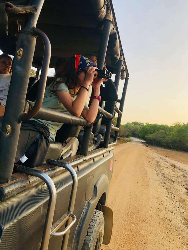 Kumana National Park : Private Half-Day Jeep Safari - Sunrise, Birds, and the Best Time to Go