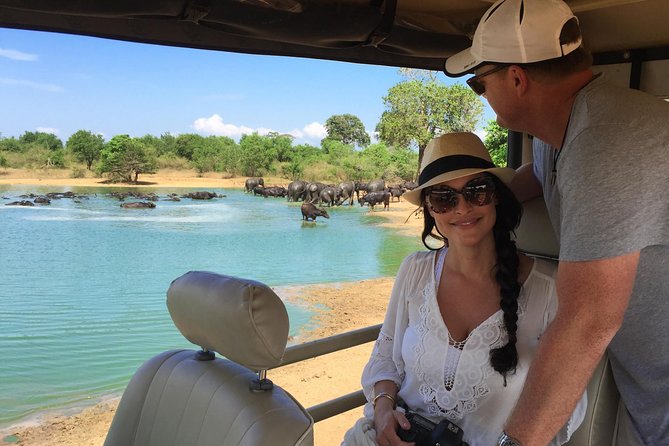 Leopard Safari Tour in Yala National Park - Key points to know before booking