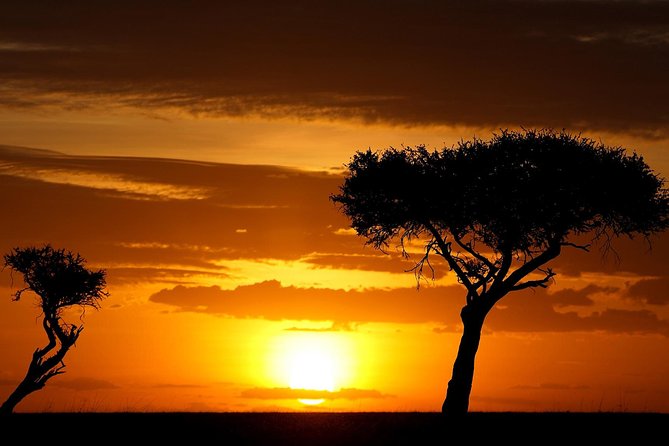Leopard Safari Tour in Yala National Park - After the leopard search, the safari opens up