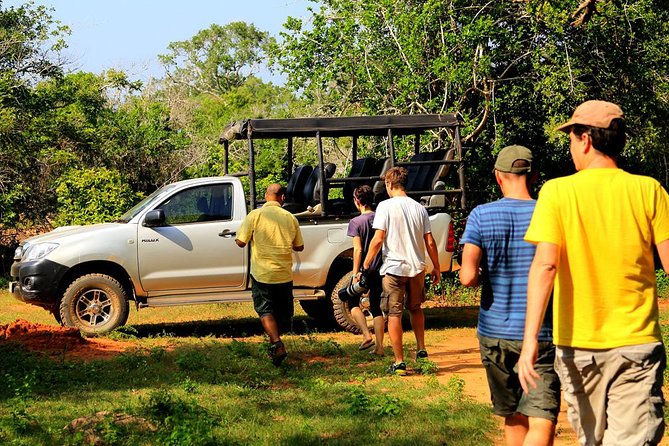 Leopard Safari Tour in Yala National Park - The real price is higher than $20