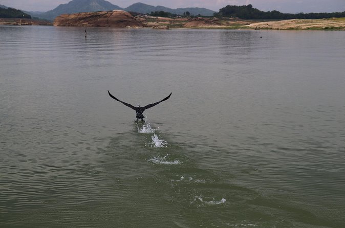 Live among swimming elephants and indigenous tribes – Gal Oya National Park - Bird islands and the slower pace of observation