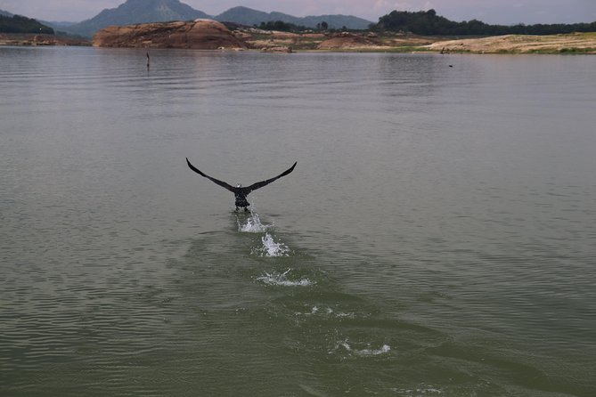 Live among swimming elephants and indigenous tribes – Gal Oya National Park - What the $84 price really covers