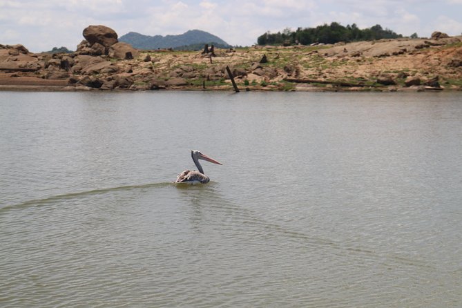 Live among swimming elephants and indigenous tribes – Gal Oya National Park - What to bring and what not to assume