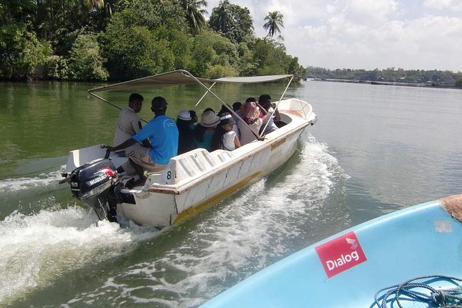 Madu River Boat Safari Balapitiya - Key points to know before you go
