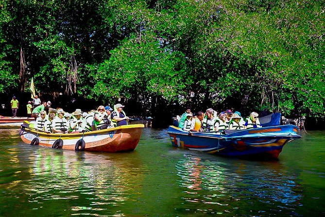 Madu River Boat Safari Balapitiya - What the Madu River Safari actually gives you