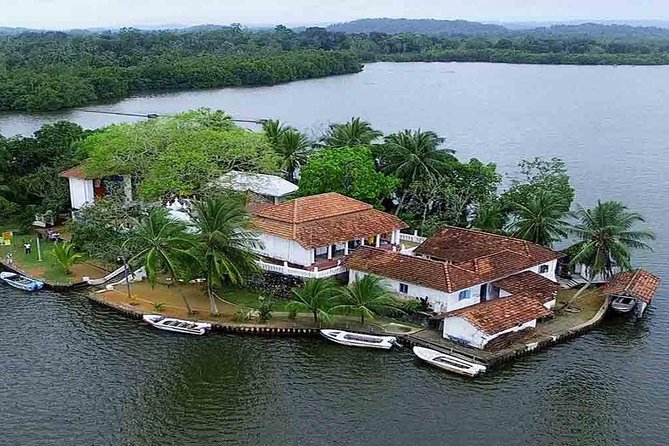 Madu River Boat Safari Balapitiya - The fish foot massage: simple, strange, and optional in spirit