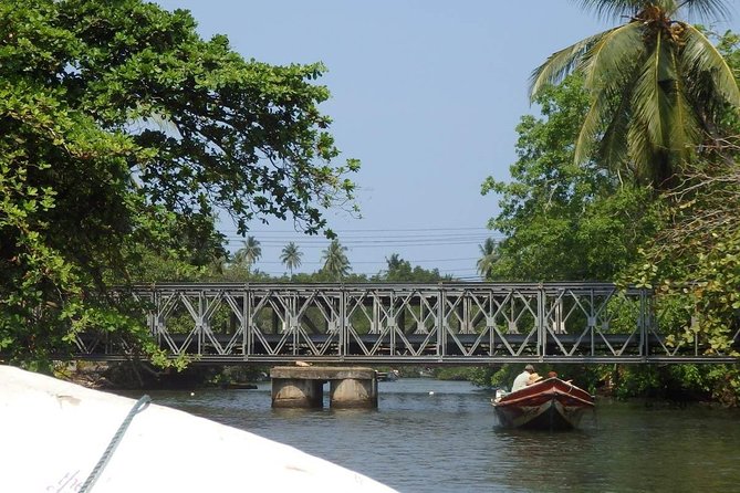 Madu River Boat Safari Balapitiya - Timing, weather, and the practical details