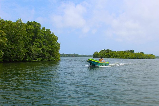 Madu River Boat Safari Balapitiya - Groups, older participants, and comfort