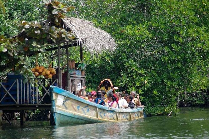 Madu River Boat Safari Balapitiya - Mangroves, reptiles, monkeys, and river birds