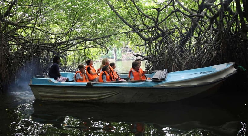Madu River Boat Tour and Cinnamon Garden visit - Key points to know before you go