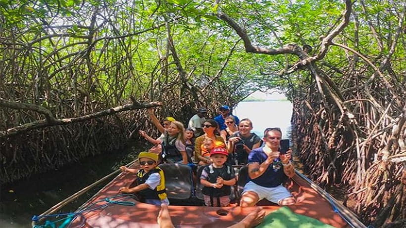 Madu River Boat Tour and Cinnamon Garden visit - Cruising into the Madu River mangroves