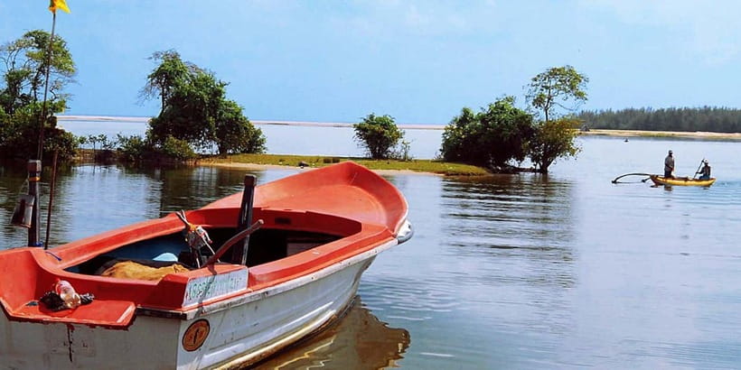 Madu River Boat Tour and Cinnamon Garden visit - The cinnamon island stop