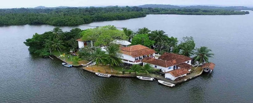 Madu River Boat Tour and Cinnamon Garden visit - The guide makes a real difference