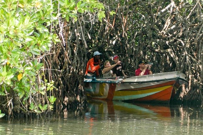 Madu River Safari at Balapitiya - Why the Madu River is worth your time