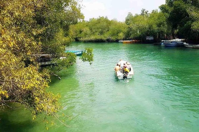 Madu River Safari at Balapitiya - Timing, group size, and practical comfort