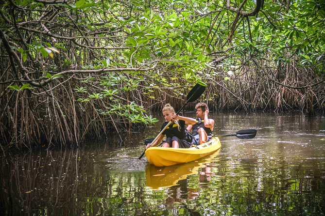Madu River Sunrise Mangrove Kayaking - Sunrise, snacks, and the rhythm of the morning