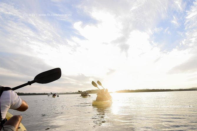 Madu River Sunrise Mangrove Kayaking from Bentota - What Makes This Madu River Trip Special