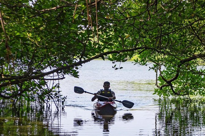 Madu River Sunrise Mangrove Kayaking from Bentota - Snacks Instead of a Full Breakfast